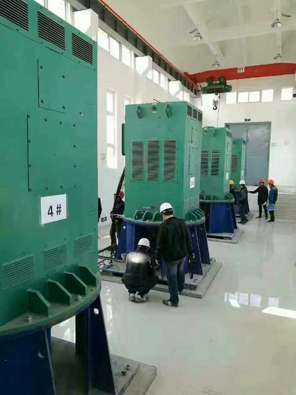 莱阳某污水处理厂使用我厂的立式高压电机安装现场